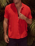 Holiday Leisure Button Up Lapel Short Sleeve Shirt for Men