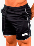 Light Quick Dry Running Training Sports Shorts