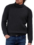 Warm Pure Color High Collar Knitting Sweaters for Men