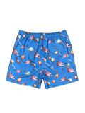 Mens Loose Straight Flamingo Print Beach Shorts