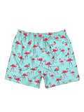 Mens Loose Straight Flamingo Print Beach Shorts