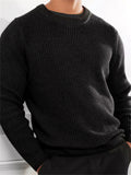 Leisure New Knitwear Pullover Tops for Male