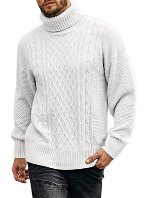 Men's Casual Daily Wear Pullover Knitted Turtleneck Sweaters