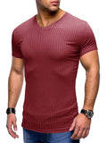 Summer Sports Knitted V Neck Short Sleeve Slim Tops for Men